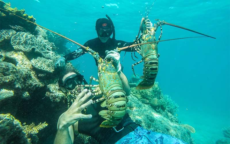 Snorkelling Snorkelling
