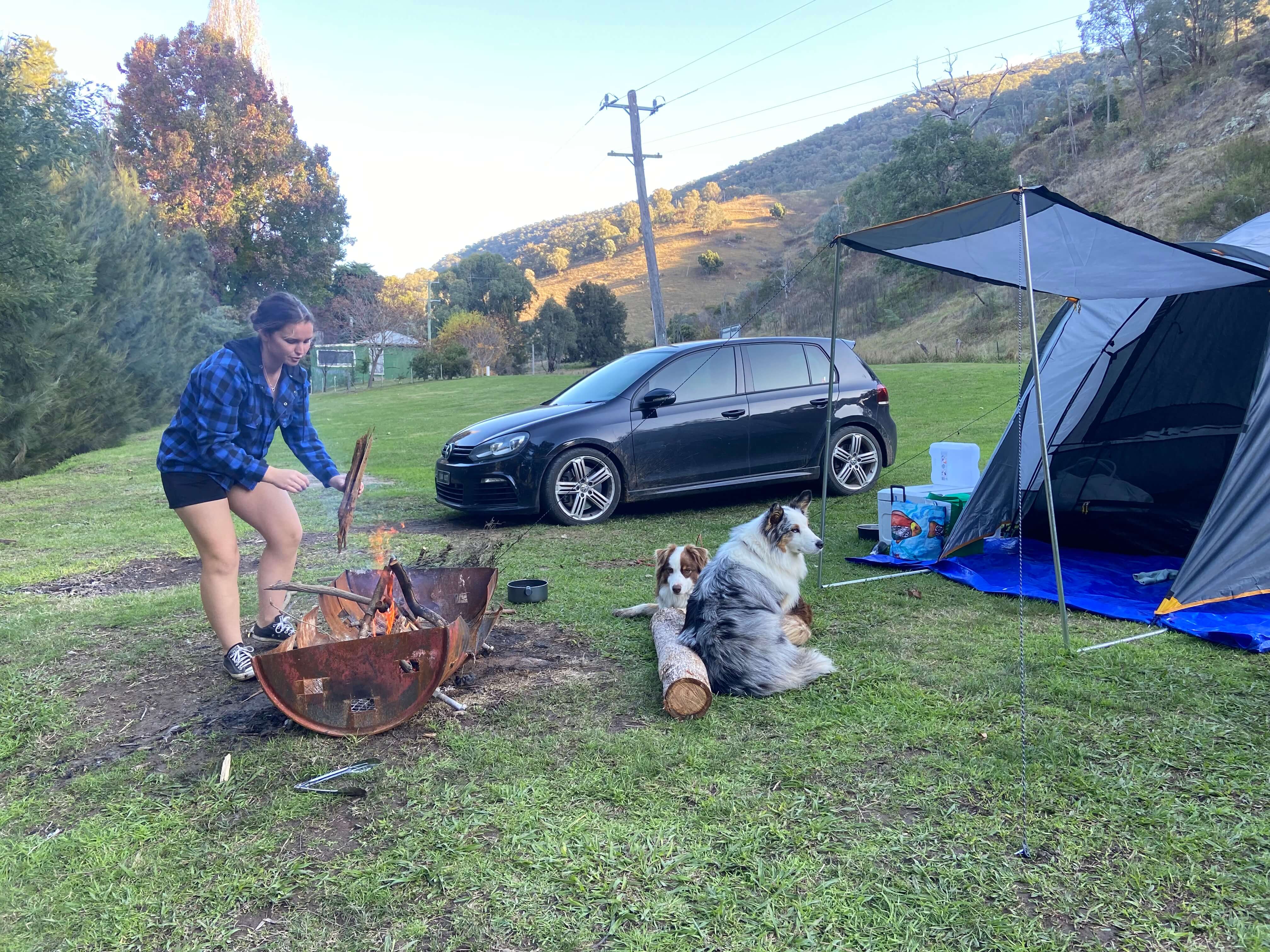 Tents like these are perfect for our furry friends Tents like these are perfect for our furry friends