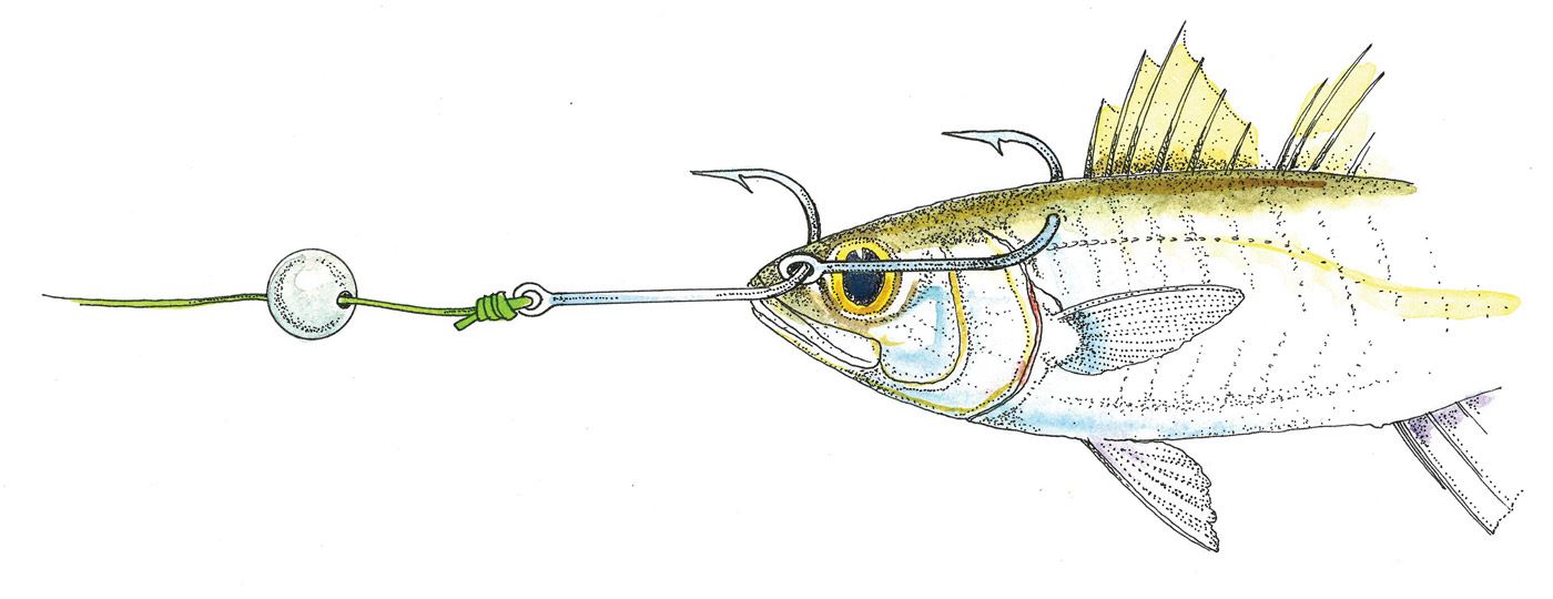 LIVE BAIT RIG LIVE BAIT RIG