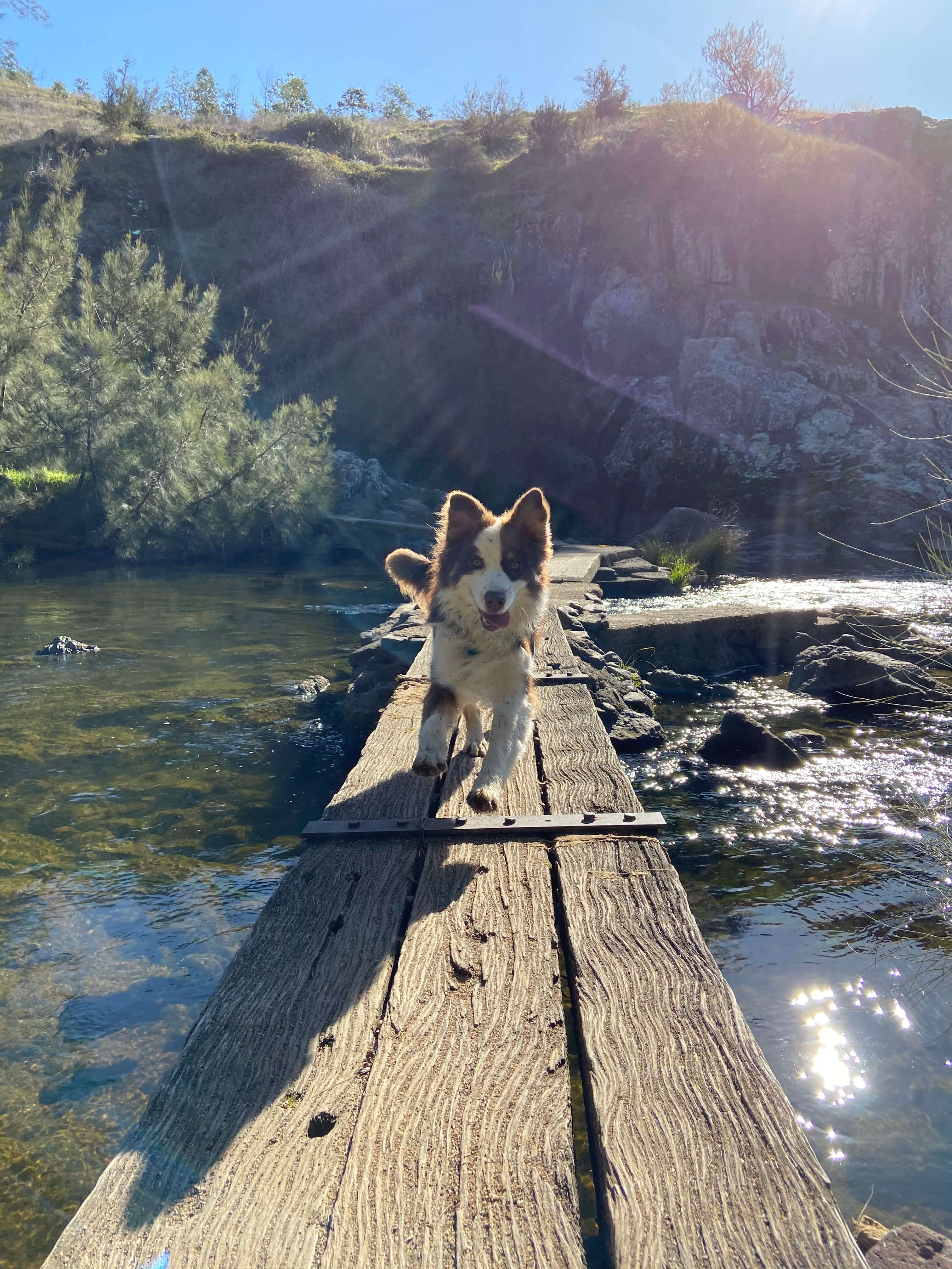 4-paw drive engaged for this river crossing 4-paw drive engaged for this river crossing
