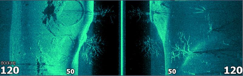 Sidescan View Sidescan View