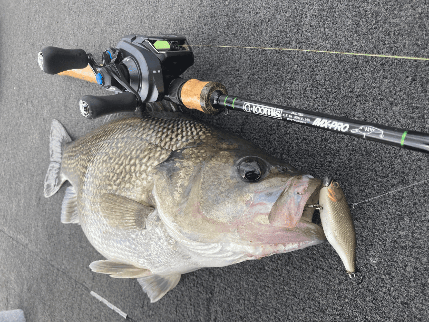 Blades and hardbodies are great for the first-time Fisho!
