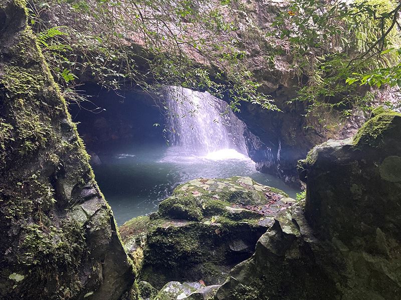 Warrie Circuit, Springbrook National Park Warrie Circuit, Springbrook National Park