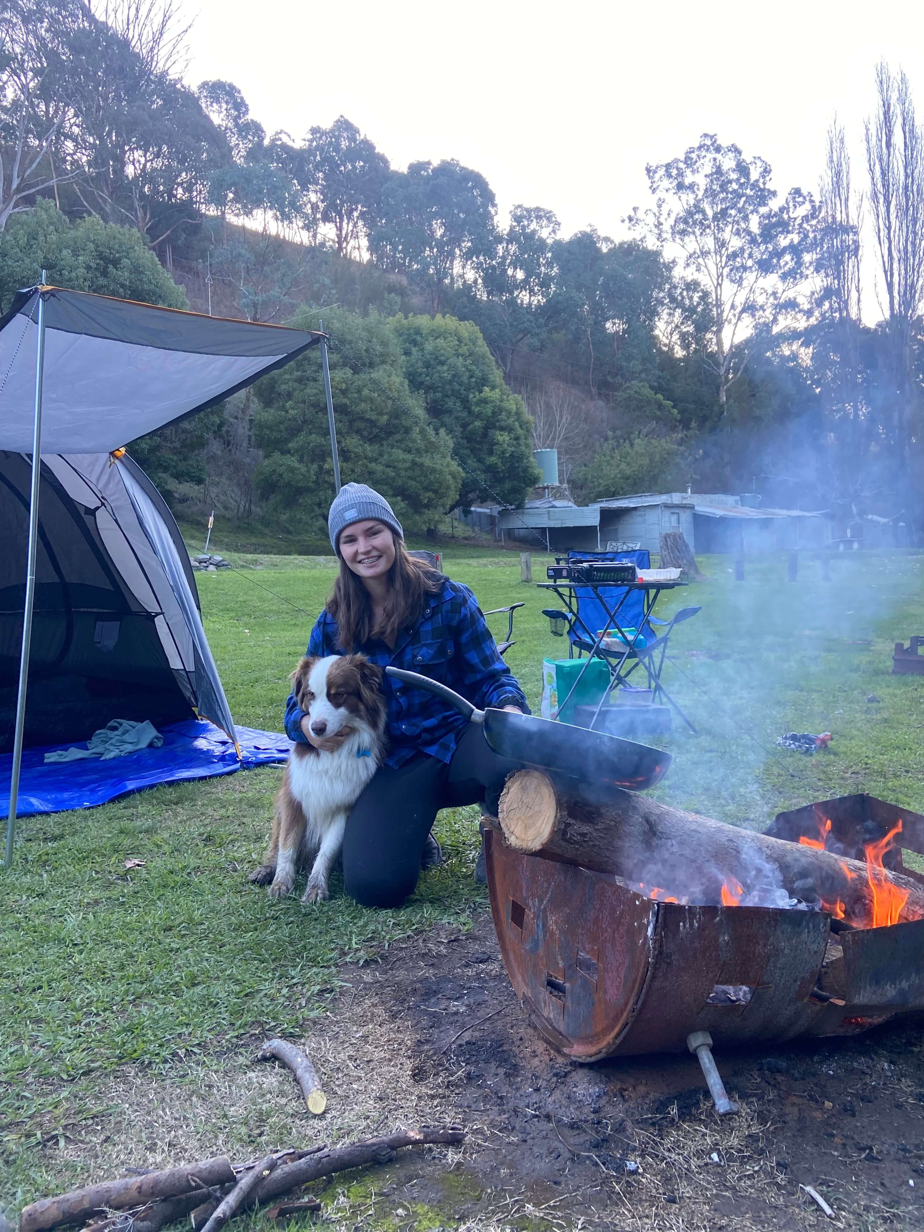Doggos love a campfire but make sure they don't get too close Doggos love a campfire but make sure they don't get too close