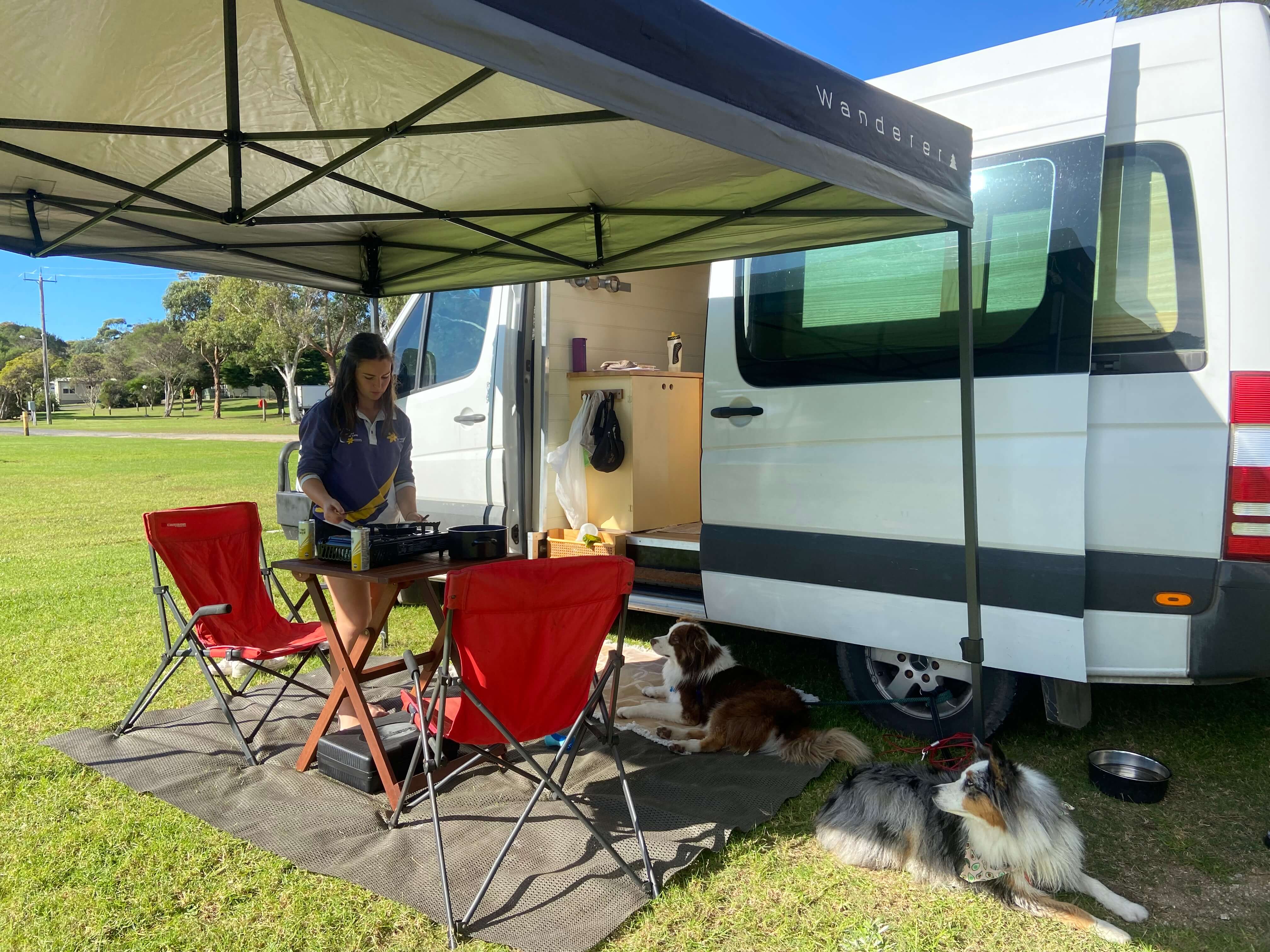 Doggos love chilling under our Wanderer gazebos Doggos love chilling under our Wanderer gazebos