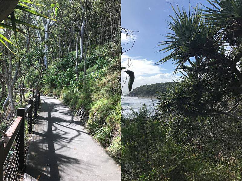 Noosa National Park, Coastal Track Noosa National Park, Coastal Track