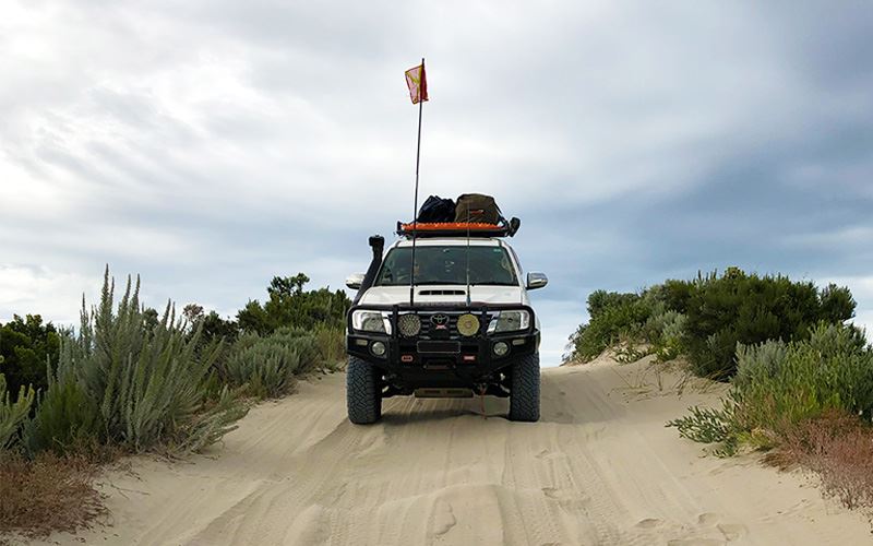 Sand flag Sand flag