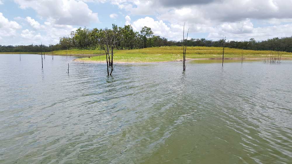 Shallow sandy points are the perfect place to fish at night Shallow sandy points are the perfect place to fish at night
